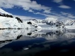Antarktida se mění před očima. Doplácí na to tučňáci