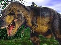 Tyrannosaurus rex