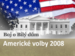 Americk volby 2008