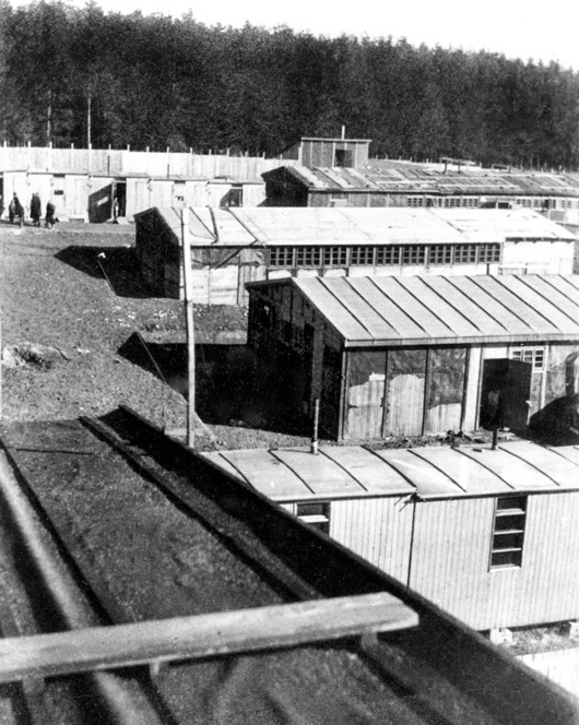 Tvz. ciknsk tbor vznikl z tbora nucen koncentrace na zklad vnosu o potrn ciknskho zlodu z 10. 7. 1942.