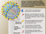 Anatomie chøipkového viru