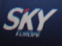 <b>1. 9. - Krach SkyEurope</b> - Slovenské nízkonákladové aerolinky SkyEurope vyhlásily bankrot. Dopravce nesehnal peníze na udr¾ení provozu, soudem jmenovaný správce proto pozdì veèer podal návrh na konkurz.<br>Ze zahranièí pøicházejí první zprávy o problémech èeských turistù, kteøí se mìli se SkyEurope vracet domù. Zru¹ení letù by se mohlo dotknout a¾ deseti tisíc èeských turistù, odhadl mluvèí Asociace èeských cestovních kanceláøí a agentur Tomio Okamura.<br><b>Podrobnosti si <A href="http://aktualne.centrum.cz/zpravy/clanek.phtml?id=646341">pøipomeòte ve èlánku zde</A></b>