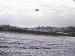 UFO - Meersburg UFO - Meersburg