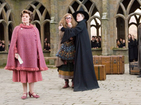 Harry Potter a Fénixův řád Harry Potter a Fénixův řád