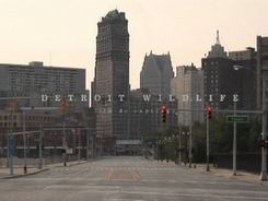 Detroit - divoké město