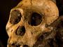 Homo erectus nebyl sám, fosilie změní evoluční teorii